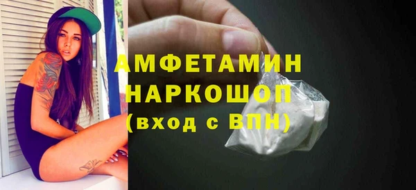 сатива Иннополис