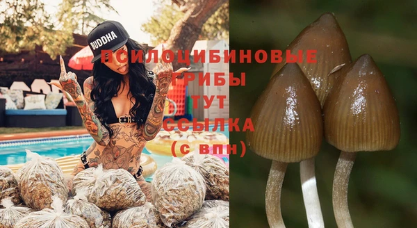сатива Иннополис