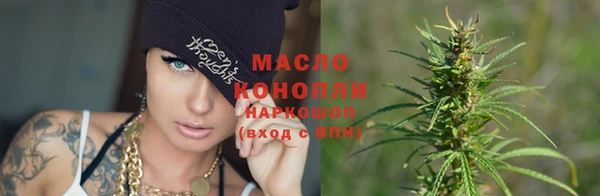 сатива Иннополис
