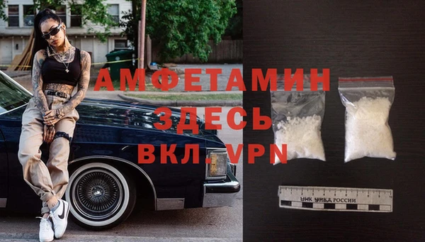 сатива Иннополис