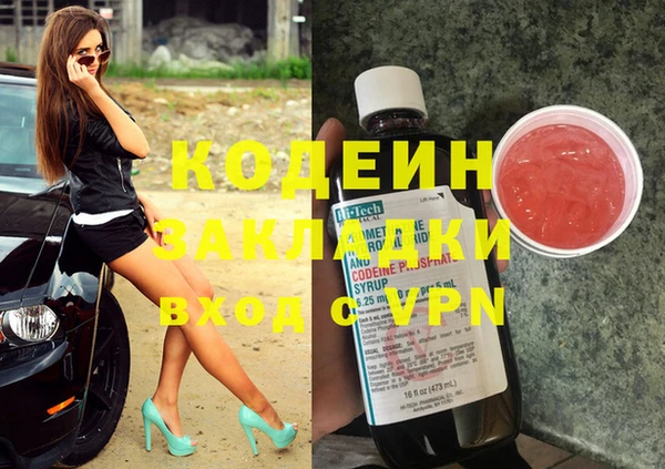 сатива Иннополис
