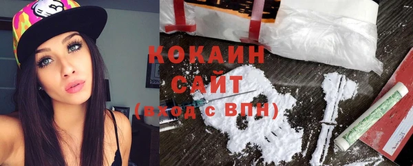 сатива Иннополис