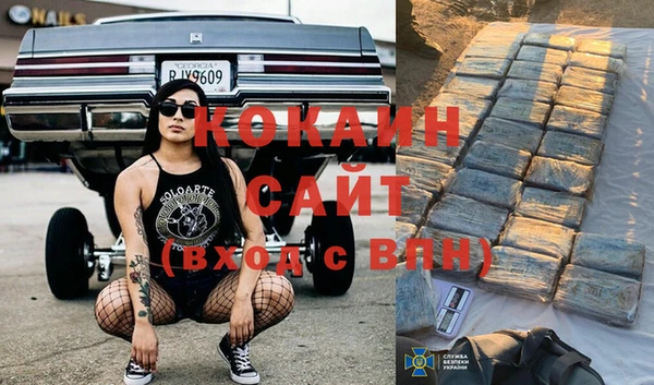 сатива Иннополис