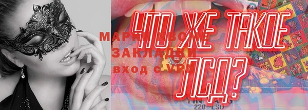 сатива Иннополис