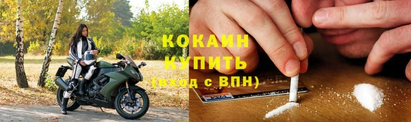 сатива Иннополис