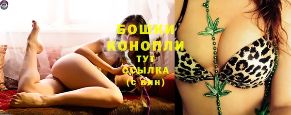 сатива Иннополис