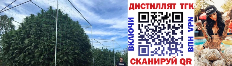 Дистиллят ТГК гашишное масло  Купить где  Цимлянск 