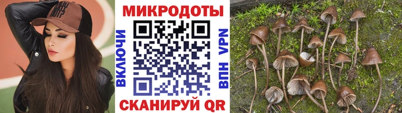 Купить где  Цимлянск  Галлюциногенные грибы Magic Shrooms 